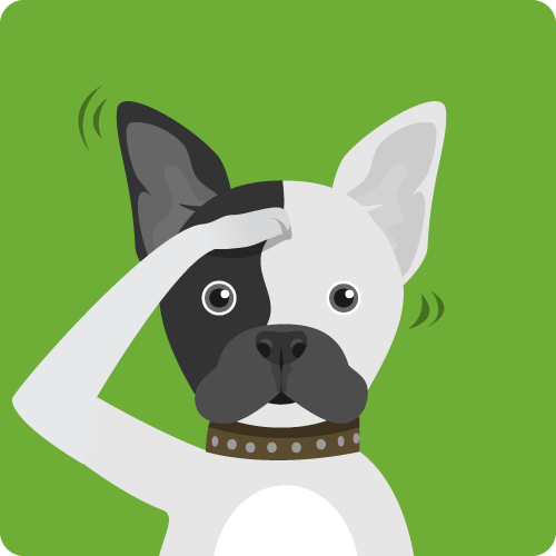 Puppy and Dog Trainer in Jacksonville, FL Unleash Fido